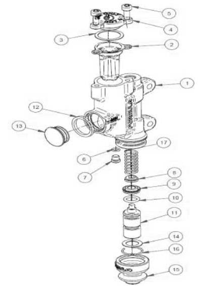 Kit piston